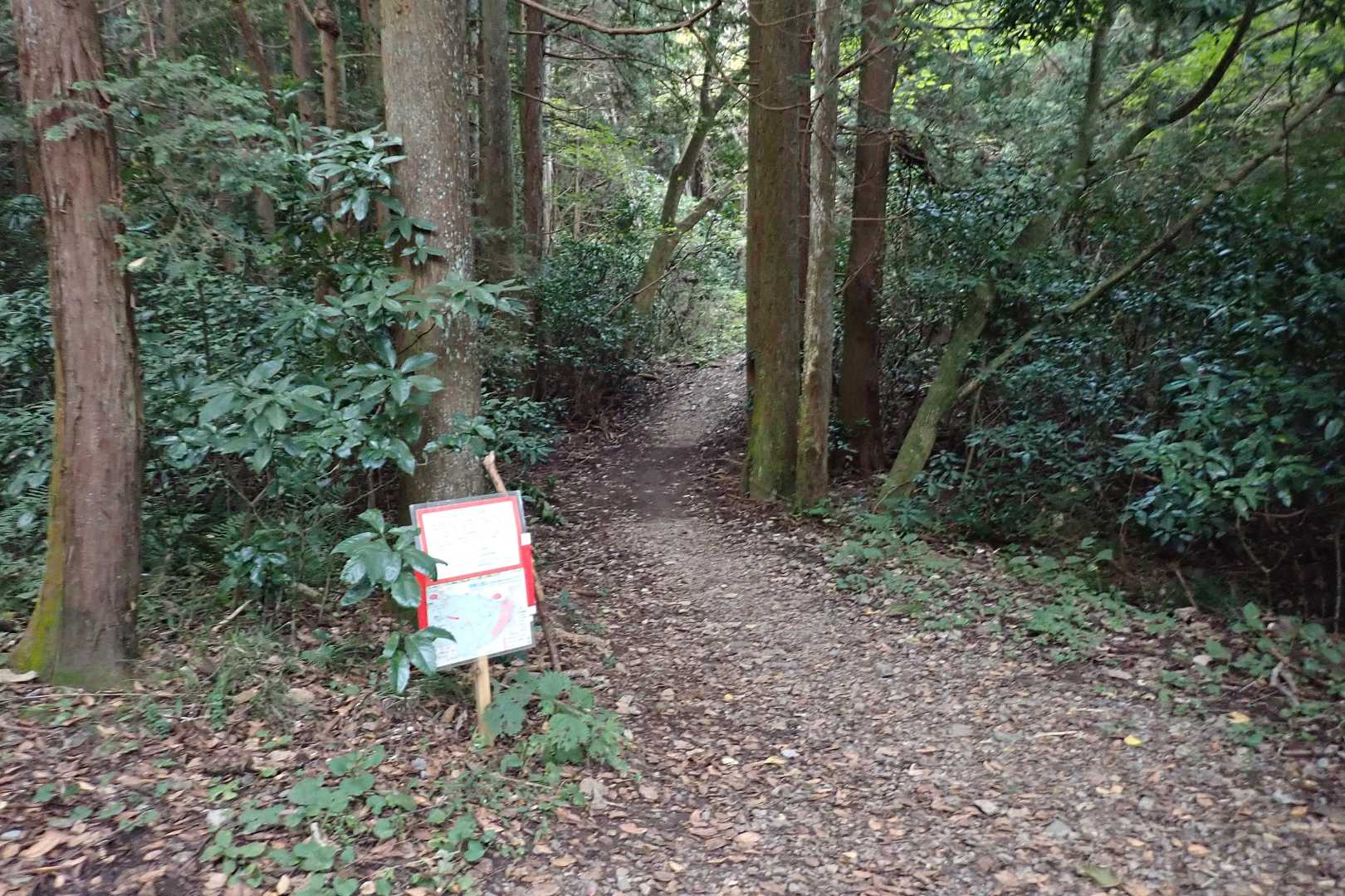 さて、登ります⛰