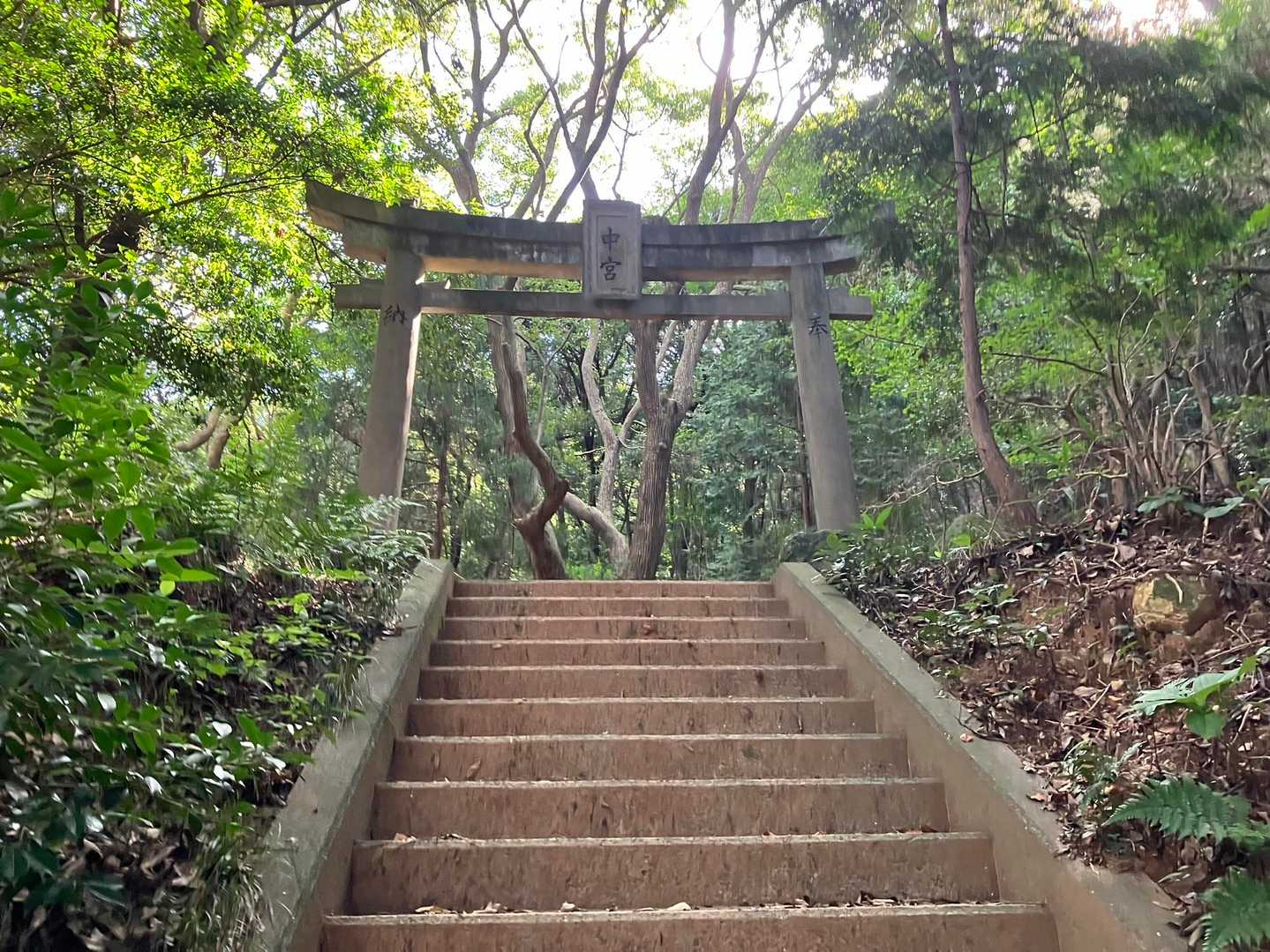 中宮