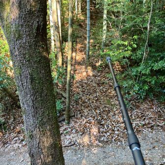 登り口に戻る。
左右のアクセス路の向こう側には、池尻山の登り口が。レッツゴー！👉