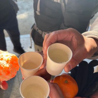 運転手ハウリンは🍊で乾杯