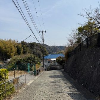 しばらく道路歩き