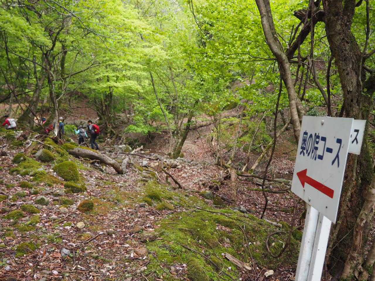 奥の院コースからです。
反時計回りだが、清掃の方に聞くとこちらの方が良いとの事😁