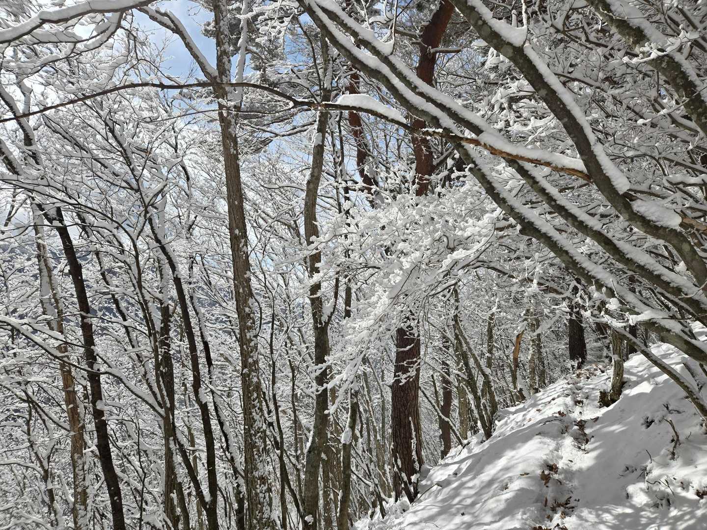 やっぱ雪の山は綺麗だなぁ～🥰