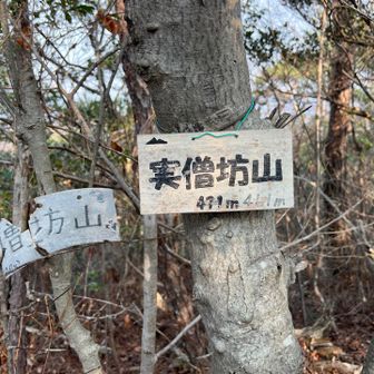 お隣に行くと…
あれれ？こちら登龍山でなく実僧坊山…
（山行中はヤマレコメインなので…）
とりあえず、とーちゃく🙂