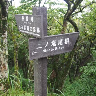 菩提峠との分岐、ここから下のニノ塔尾根は初見