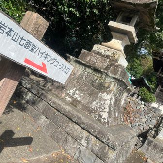 完全に敷地内なハイキングコース。