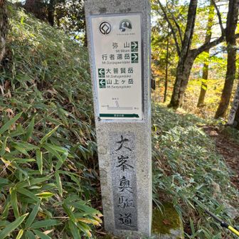 大峰奥駈道から無双洞､和佐又山方面に下ります。