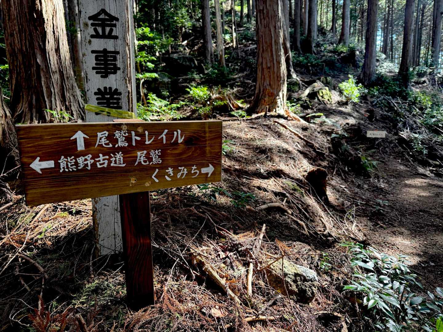 尾鷲トレイル