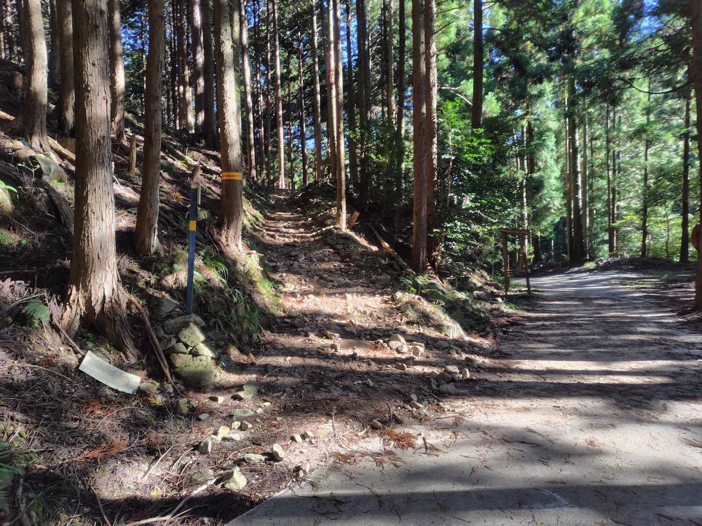遠足尾根の合流点まで戻ってきた