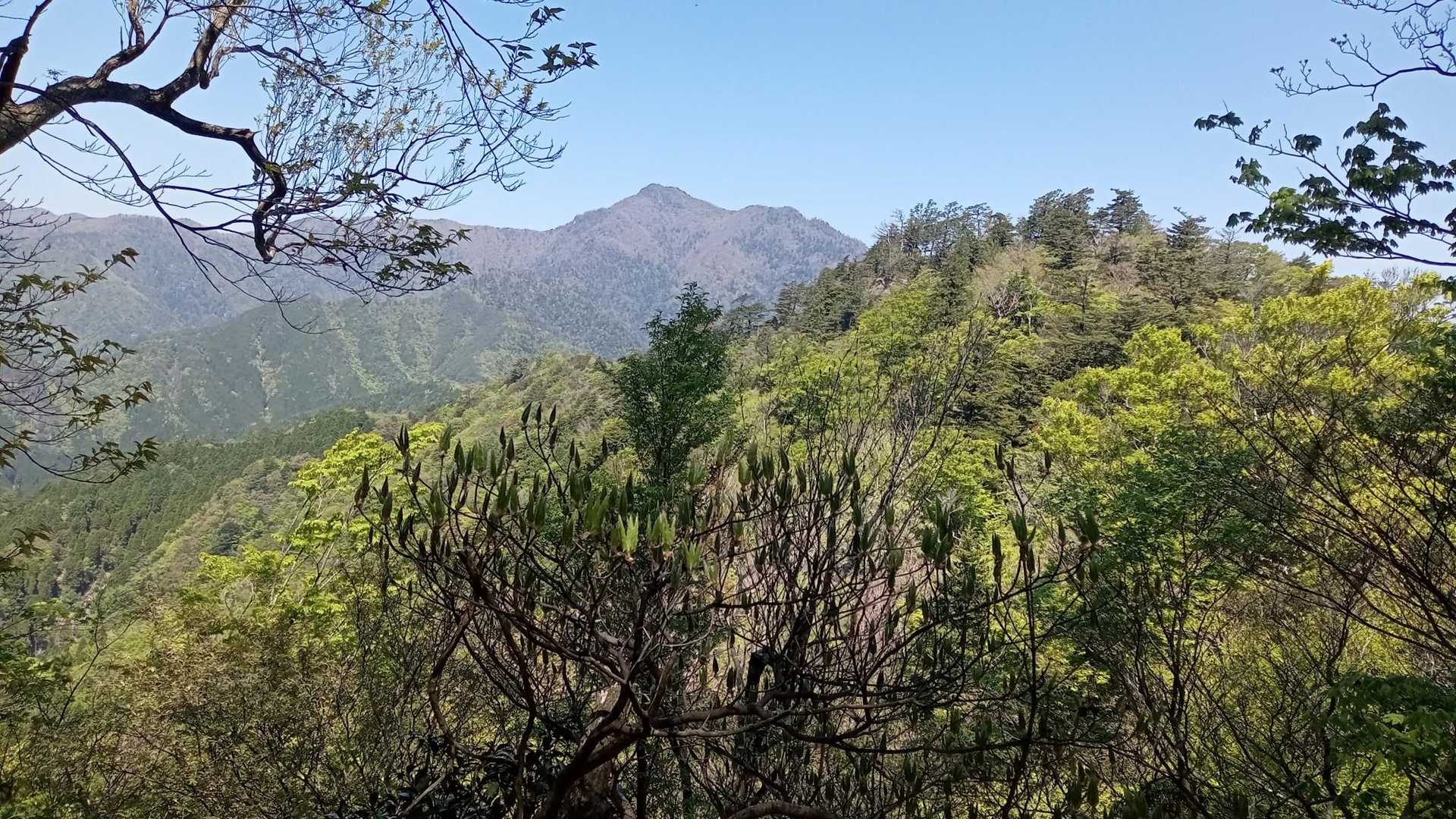 あまり眺望に恵まれたコースではないので、見れる時に。傾山。