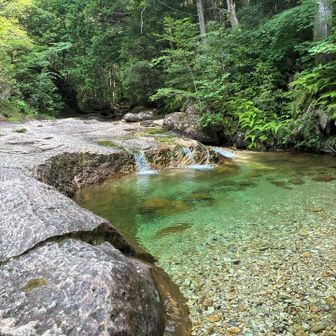 超水キレイ、飛び込みたい