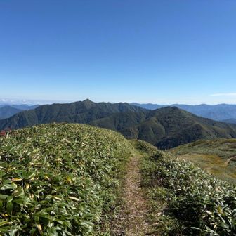 ※兎岳より荒沢岳。