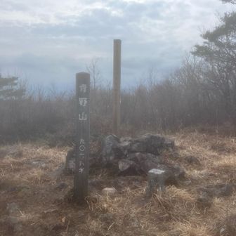 山頂（空気は澄んでたのに何故か写真は霞んでる😨）