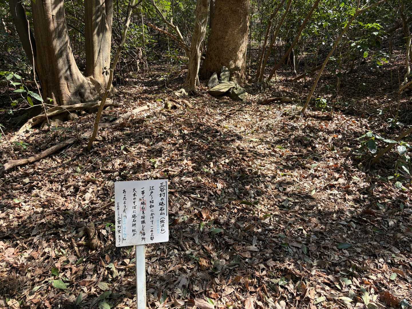 砥石山というらしい

そういえば🔪最近研いでないなぁ