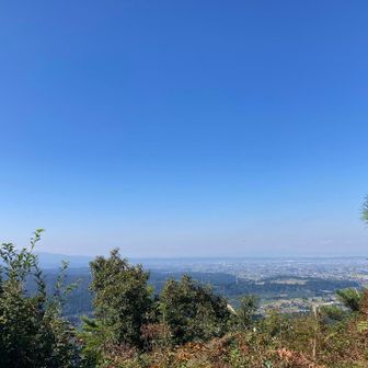 富山市も^_^