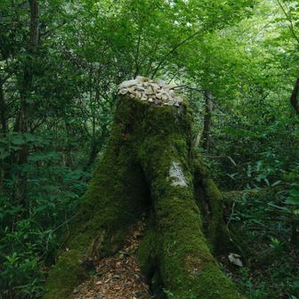 多くの登山者の思いが乗っかる