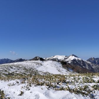 冠山方面（霧氷はないけど青空です）