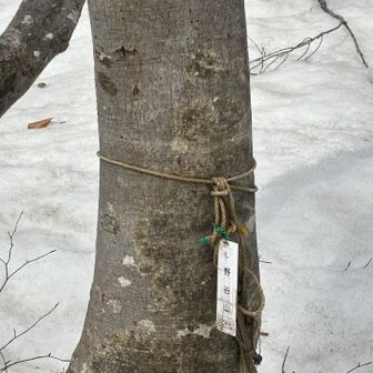 心野谷山
こちらは、完全に石川県に入ってます！
お邪魔しまーす♪