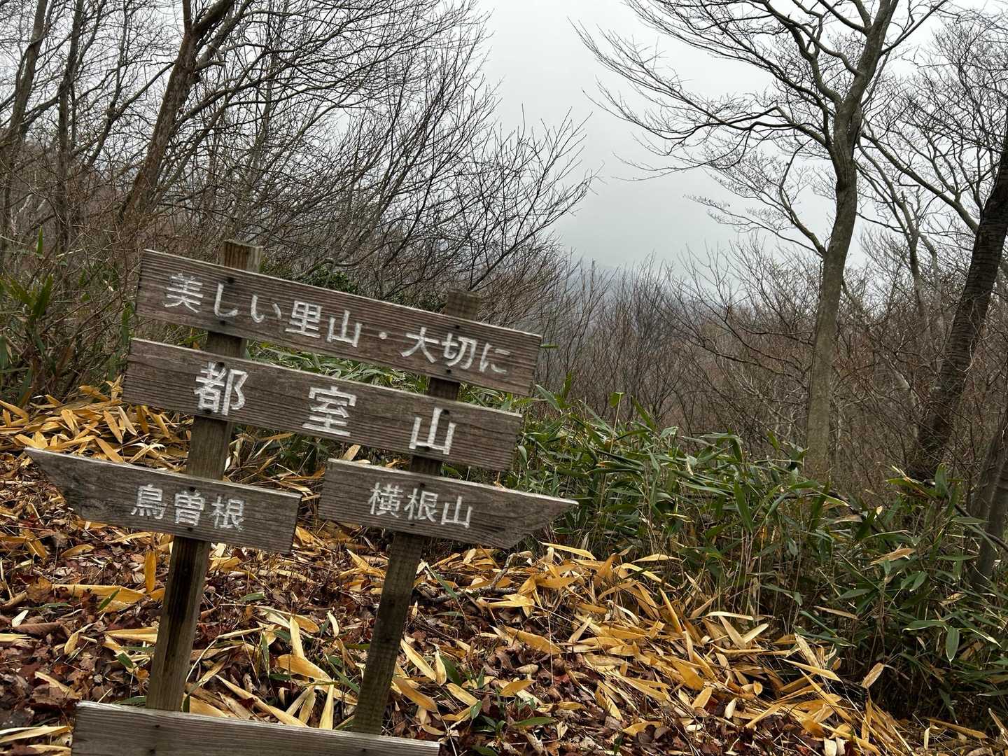 自分を後回しにしてきたツケじゃない。
ようやく本来の自分に戻ろうとしている強烈なサインだ。