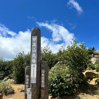 山頂🙌　