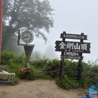 よしのさんを待ちます。