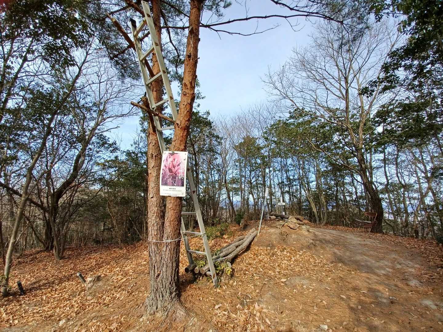ハシゴ😳
登ってみると、島が少し見えた👀