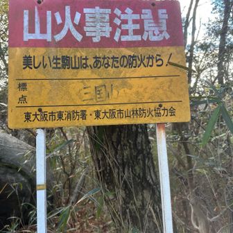 さてさて2つ目のピーク　
三国山⛰️到着

こちらも景観ナシです