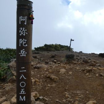 阿弥陀岳に初登頂
御小屋山方向からの登頂はもっと大変なんだろうけど中岳方向からは距離が短く比較的すんなりと