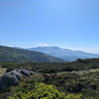 草津白根山