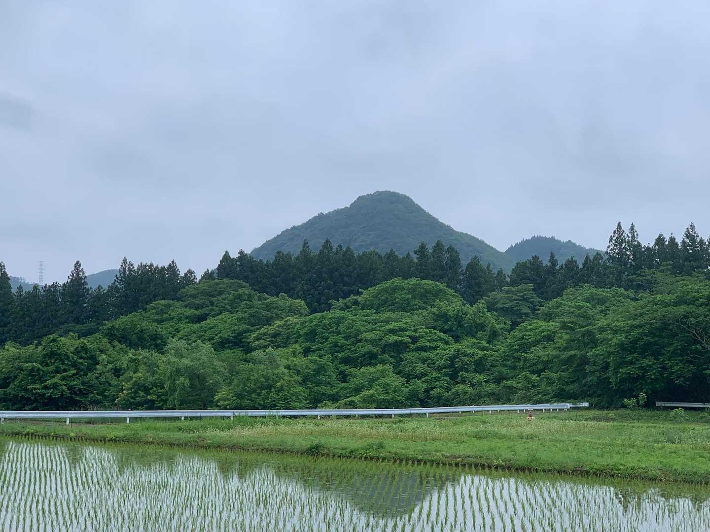 愛宕山・大旗山・やけ山 周回コースの写真