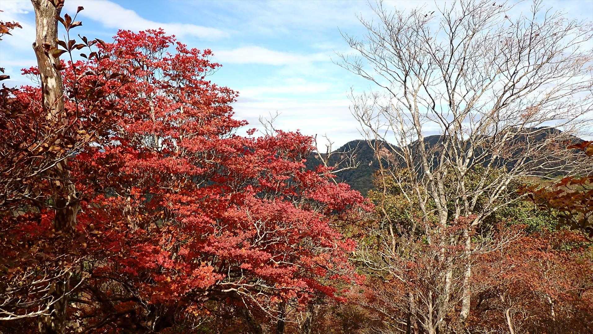 釈迦ヶ岳（高原山）往復コースの写真