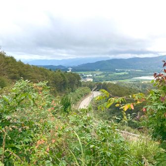 獅子岩からの眺め
登山口に入る前のここからの眺めが一番であった😭