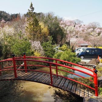渡れませんけどこんな小さな橋もあります