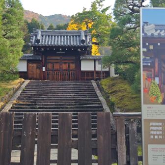 霊鑑寺
秋の特別拝観中
拝観はせずにスルー