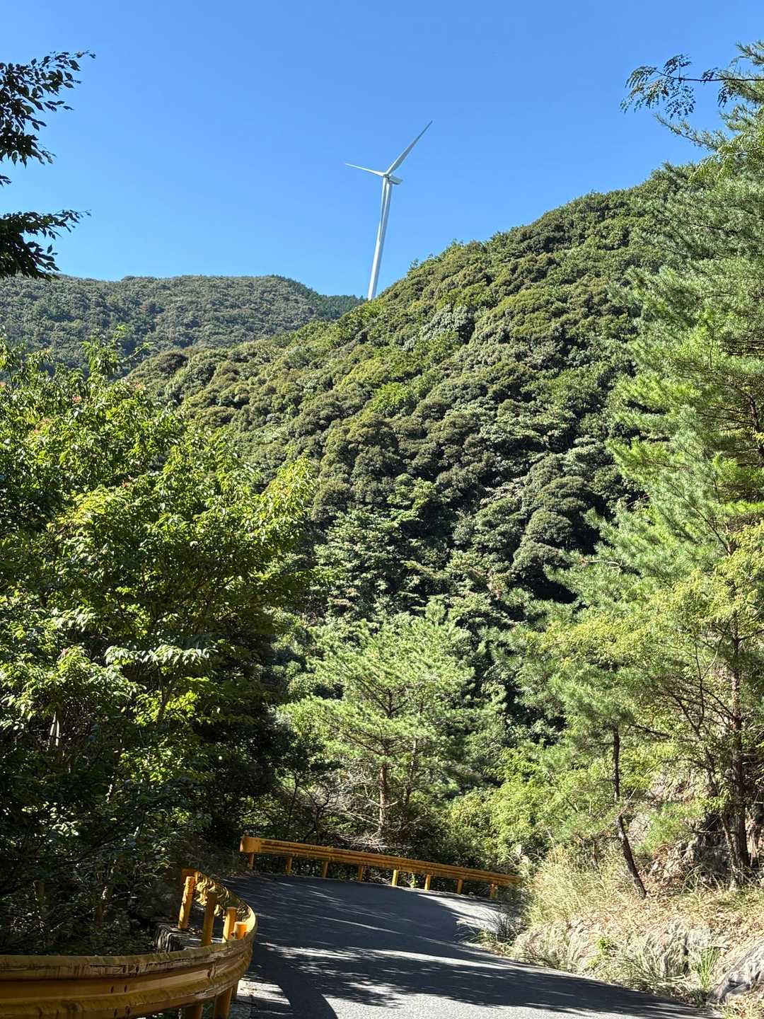 変化を楽しめるいい山でしたね🎵

来て良かった！