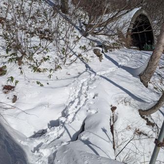 最後の最後が怖かった
新トンネル脇に出るところが2本の細い橋になっていてすき間から下が見える😱