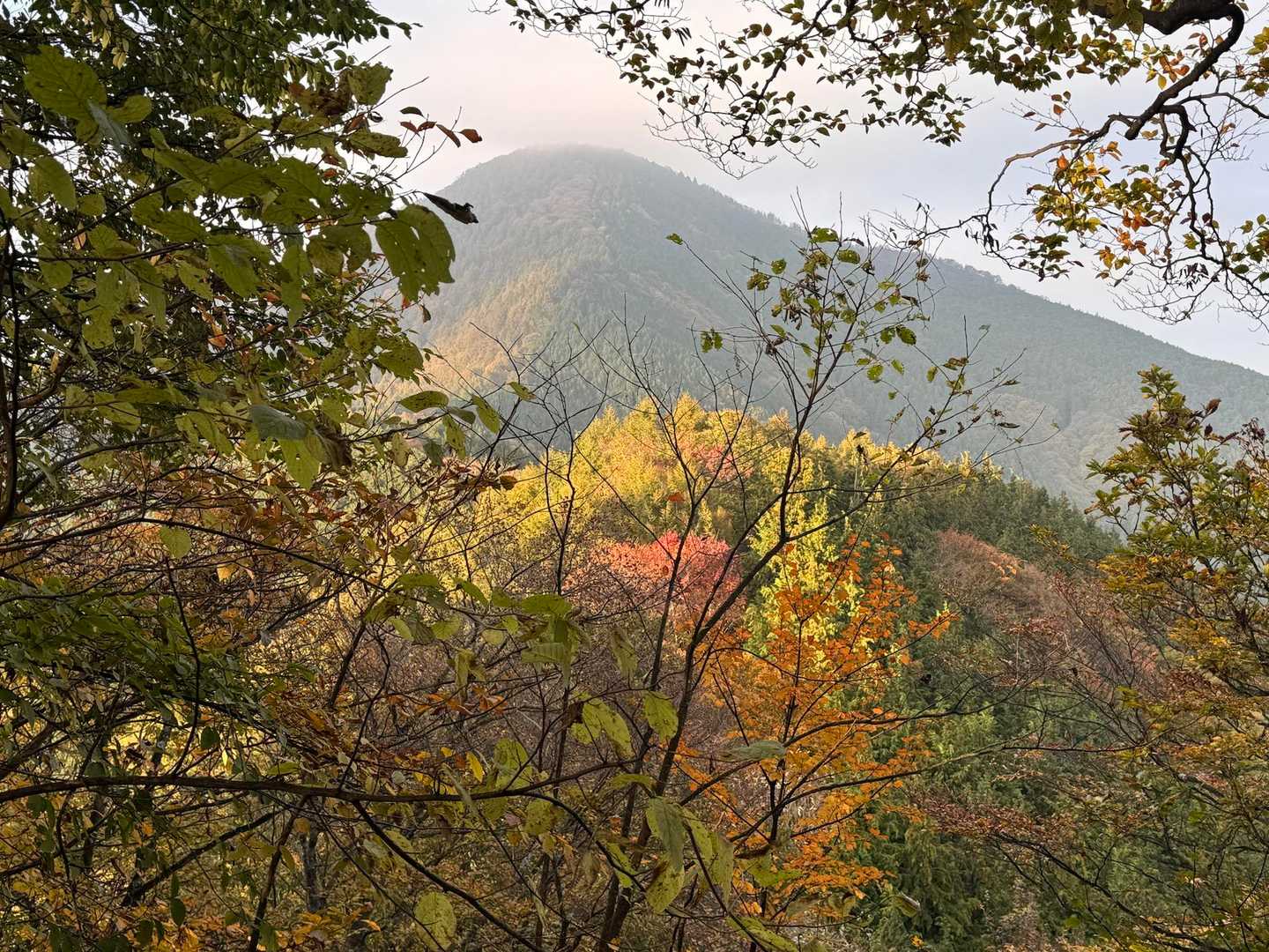 一ノ鳥居-武甲山-子持山-大持山-妻坂峠 周回コースの写真