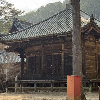 こんな感じで雪降り出した⛄️