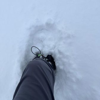 ちょんまげ　Trail or rode