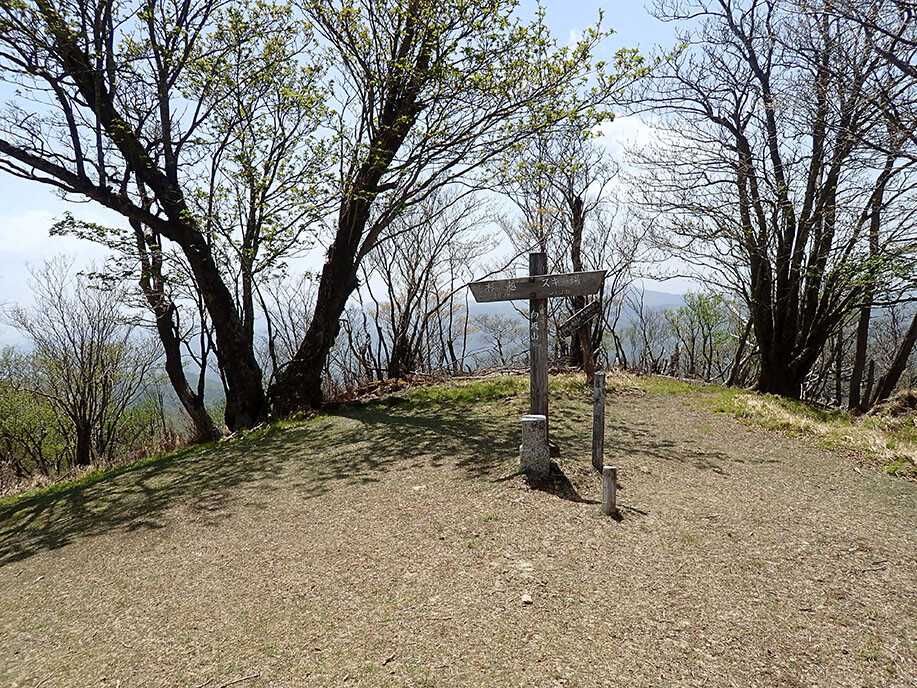 向坂山の写真