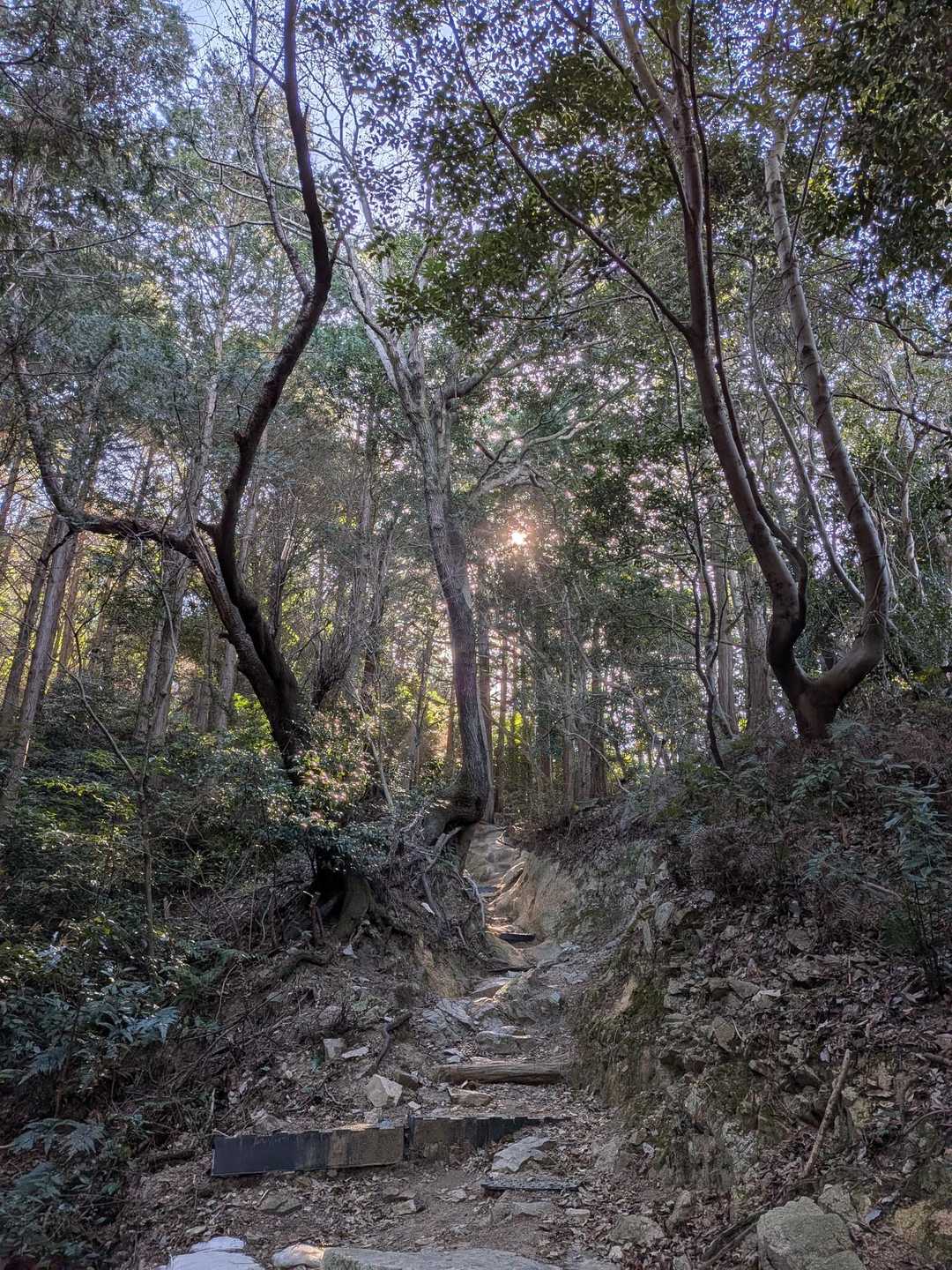 叶岳登山口-叶岳-高地山 周回コースの写真