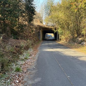 メイン道の下をくぐる