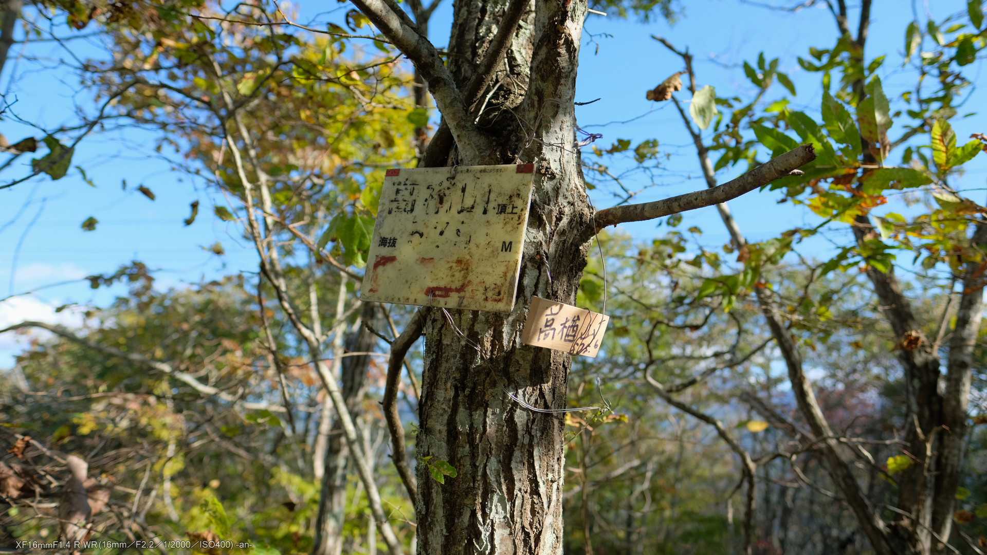 山頂標を直しておきました。