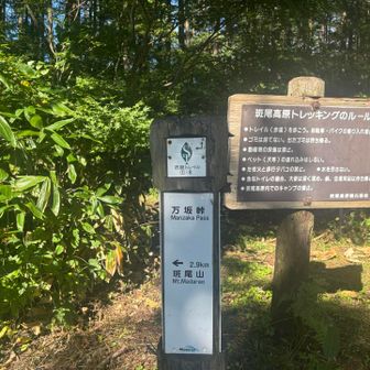 ルートを確認しながら山頂を目指す