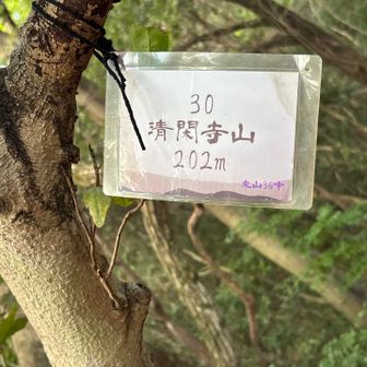 清閑寺山🙌