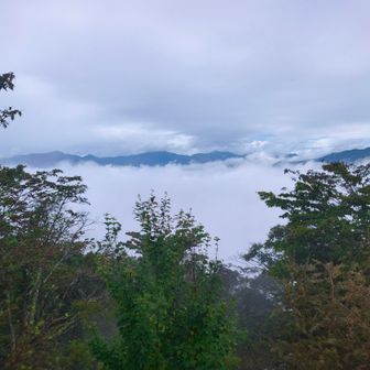 山頂！まさかの晴れ間！あれは雲取方面