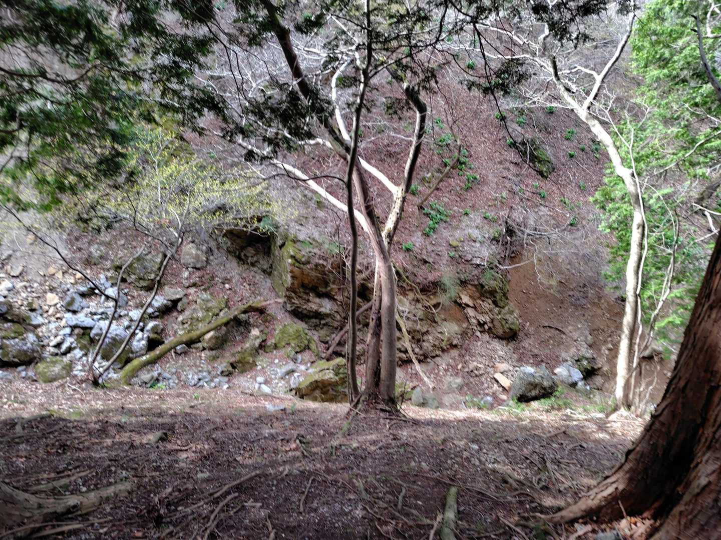 左が急斜面の崖になってる所が多く、なかなか気を緩めないルート。
時間も早くないし、人がめっきり減って、熊🐻出そうな感じで、すぐ後悔💦ケガしたら終わりだなあと。