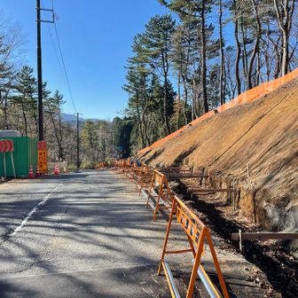 万葉公園は終わり、遊歩道が通行止めのため道路を歩いてるのですが、道が１車線になって細くなっていて車がけっこう通るので怖かったです😰