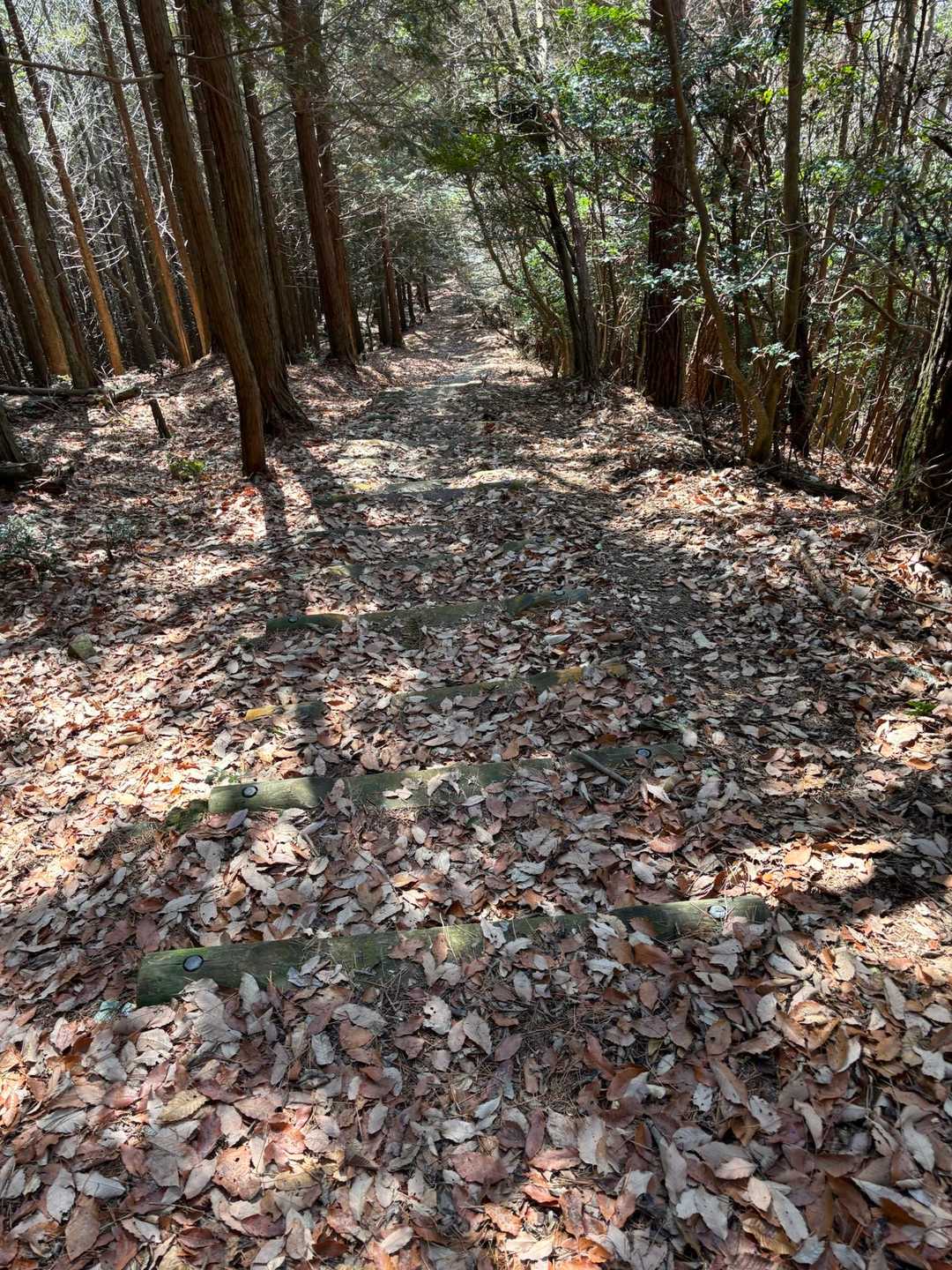 歌垣山登山口バス停-かがいの広場-歌垣山-堀越峠 往復コースの写真