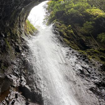 kurumiazukiさんのレポにあった、これが見たかった👏
険しい登山道を進む価値有りです👍